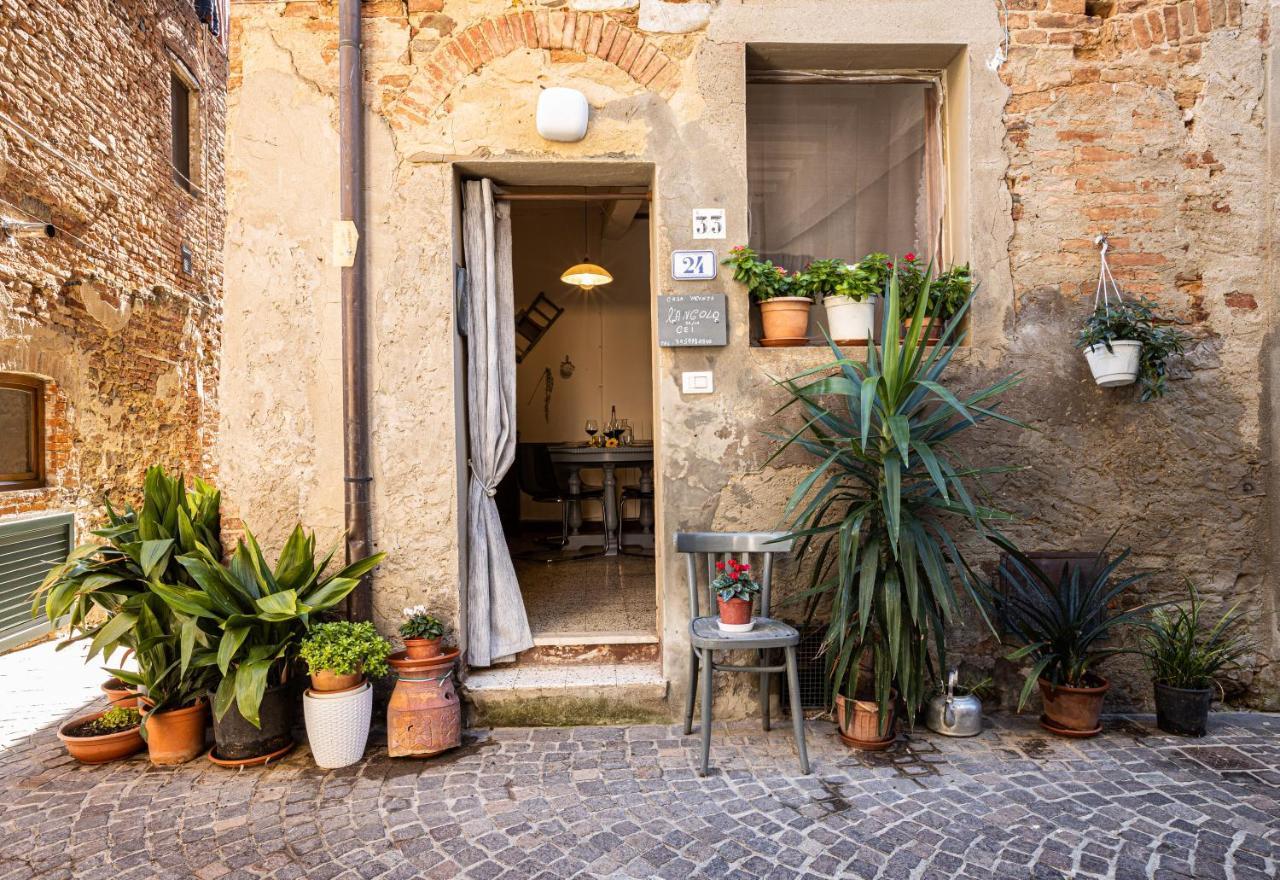 Angolo Della Cei Terricciola Exterior photo