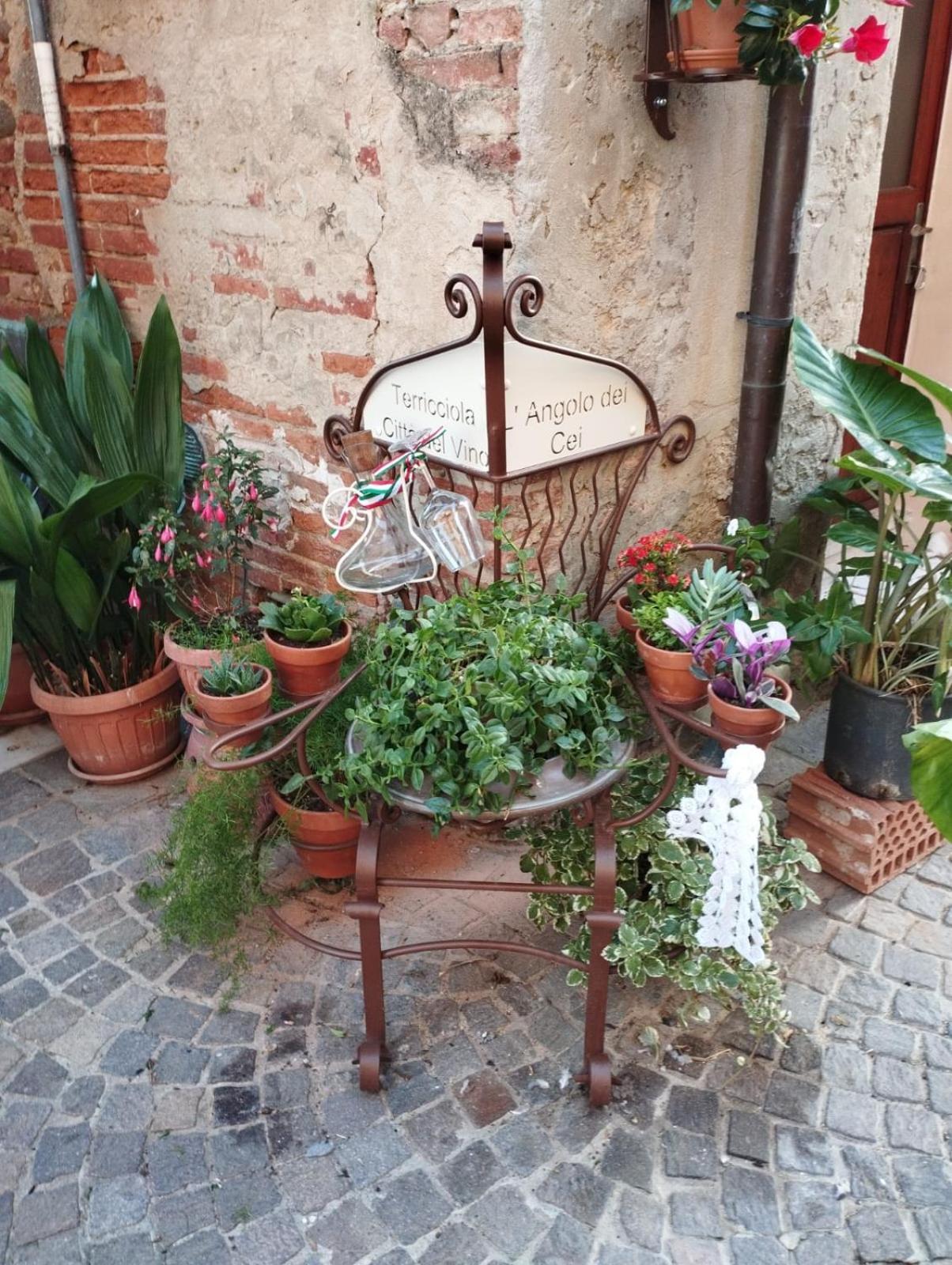 Angolo Della Cei Terricciola Exterior photo